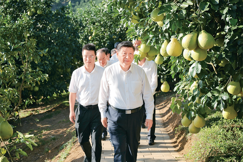003.jpg 博彩app下载