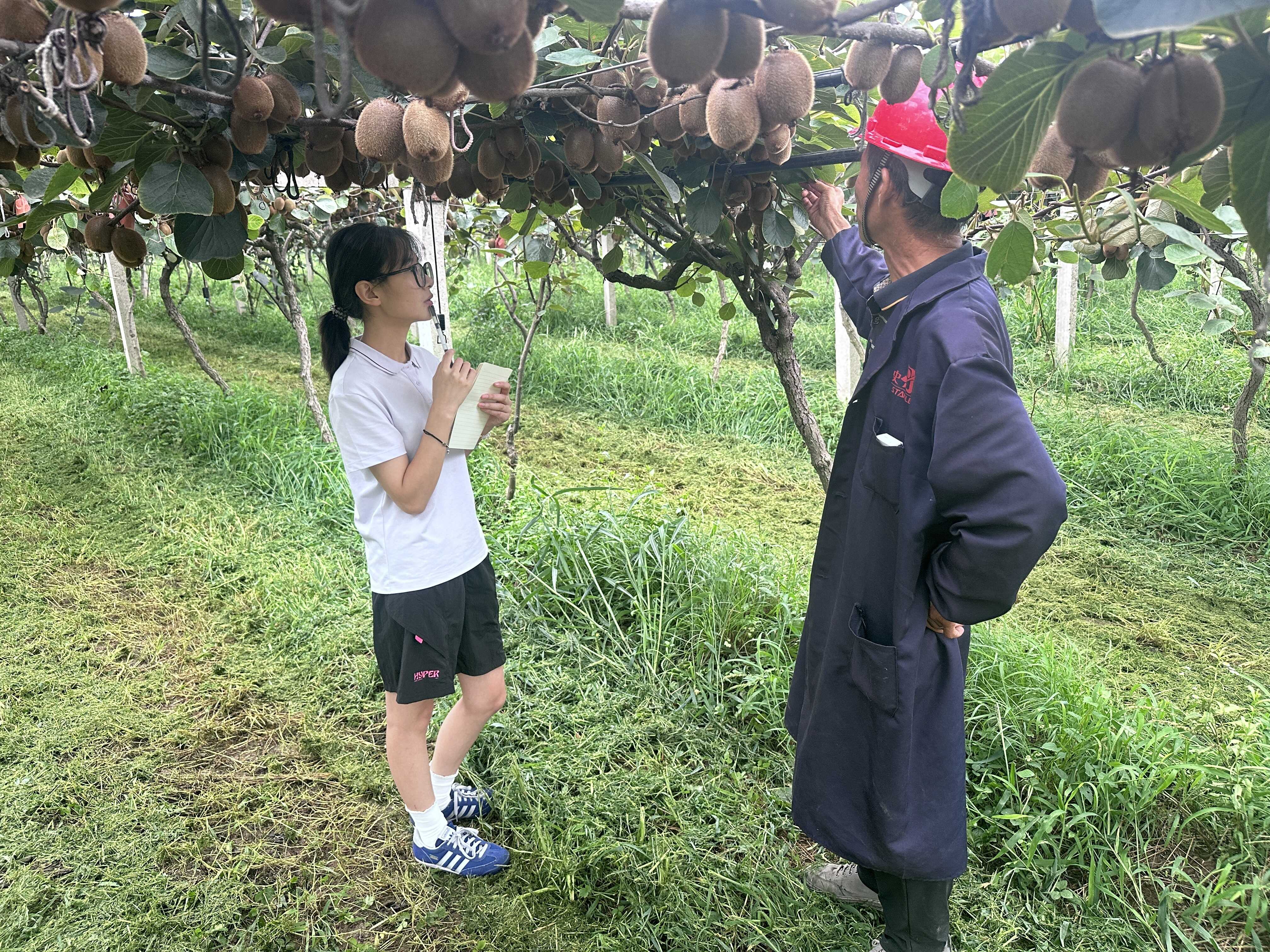 博彩app下载