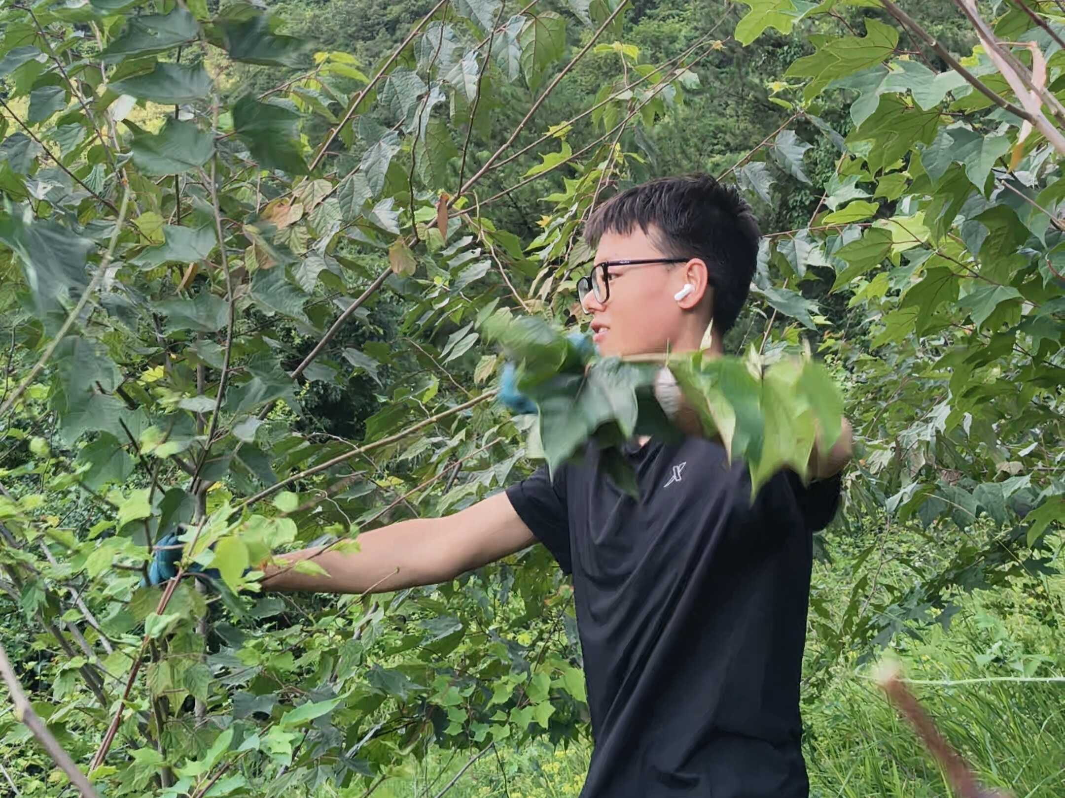 博彩app下载
