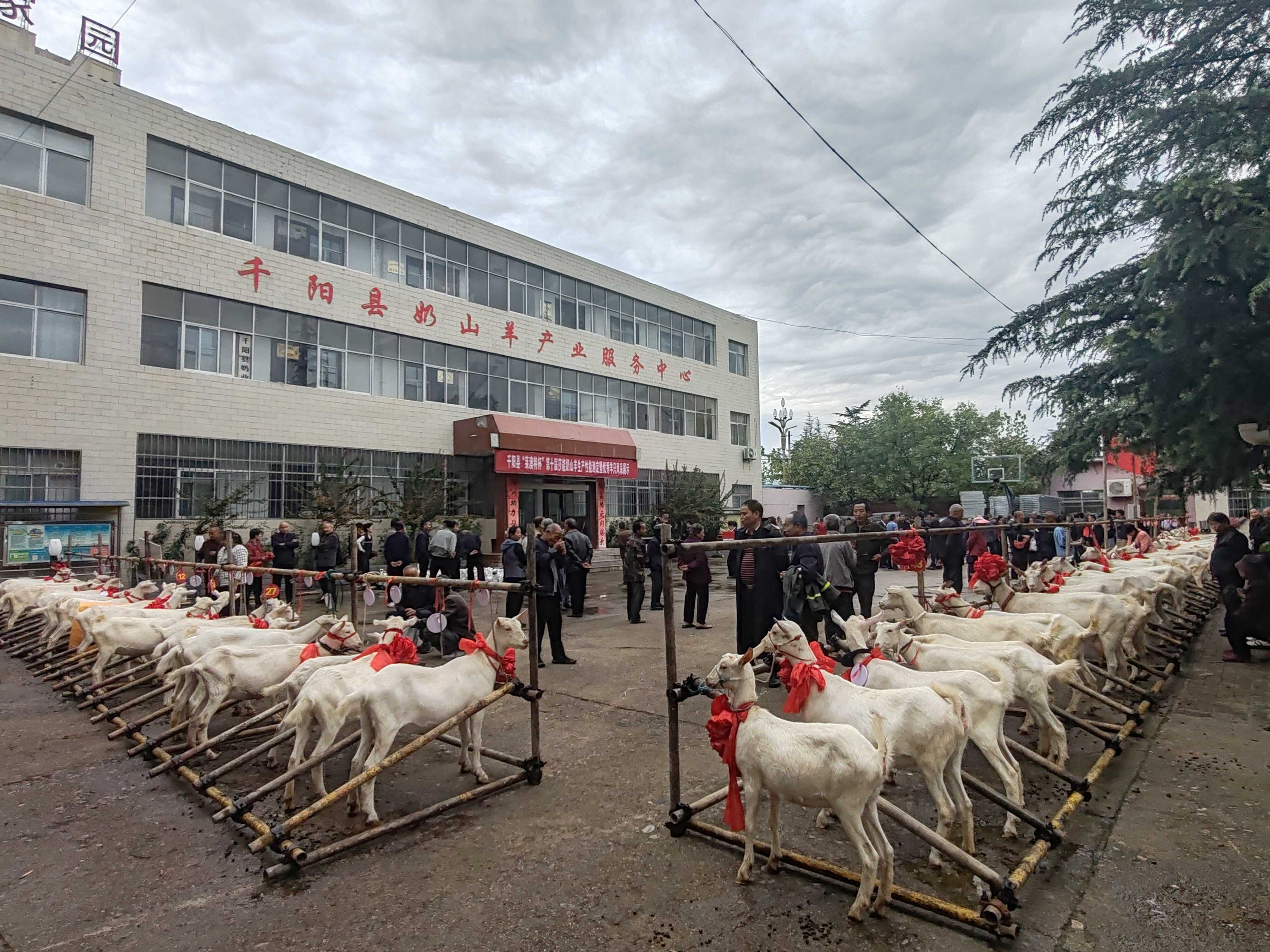 博彩app下载