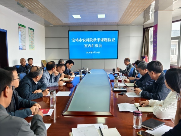 博彩app下载