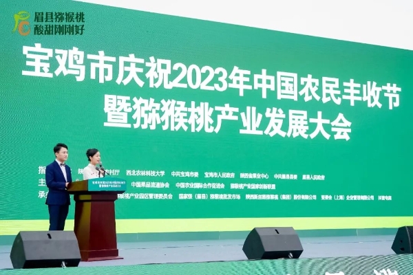 博彩app下载