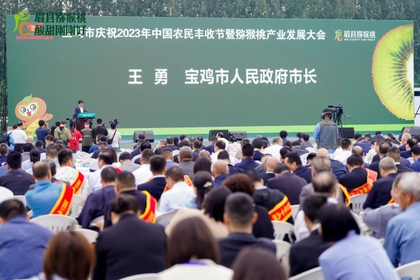 博彩app下载