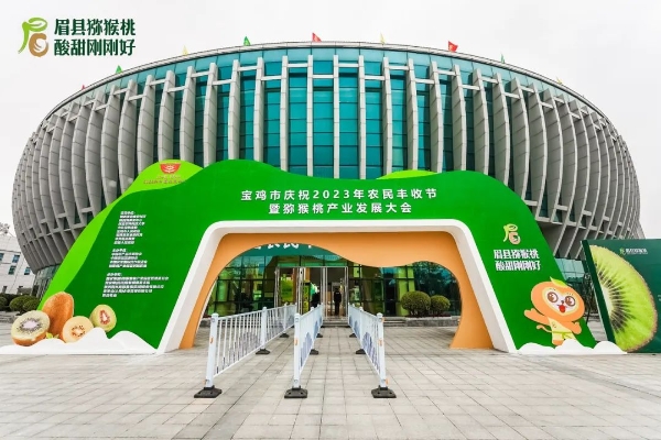 博彩app下载