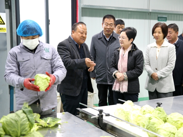 博彩app下载