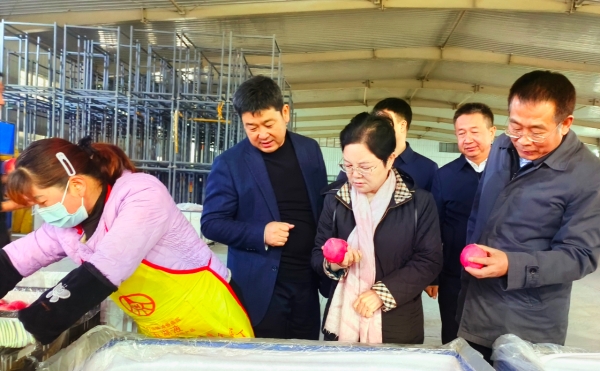 博彩app下载