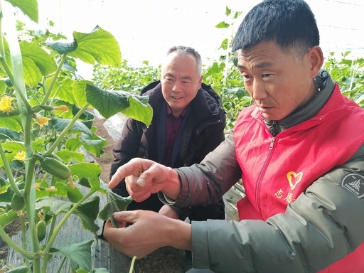 博彩app下载