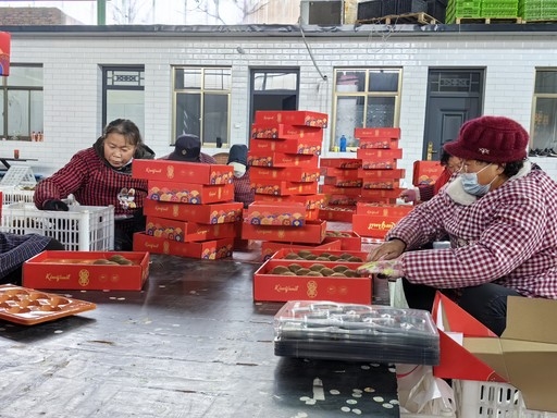 博彩app下载