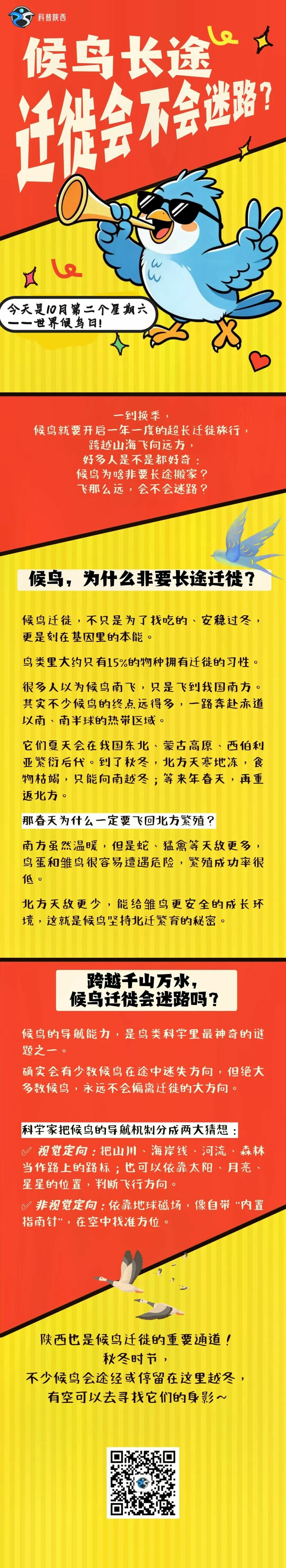 博彩app下载