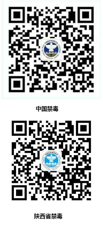 博彩app下载
