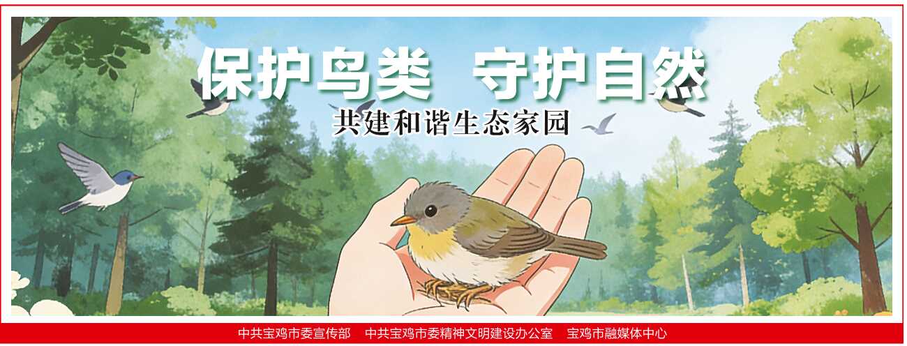 博彩app下载